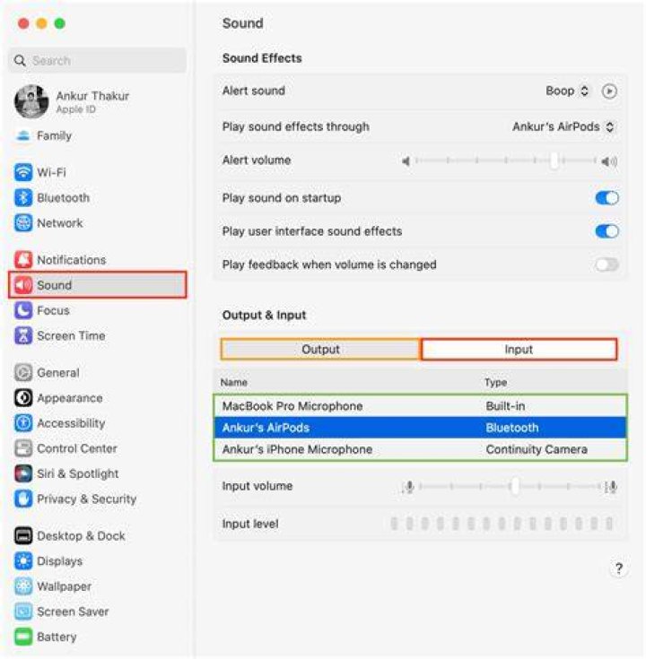 Audio Settings on an Apple Mac Computer