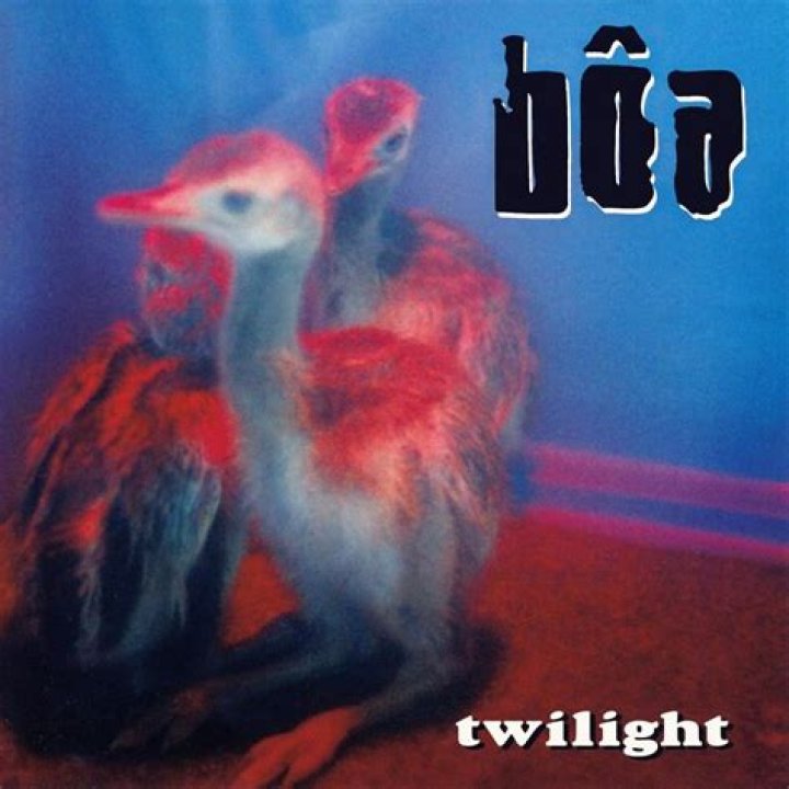 bôa – Twilight Lyrics