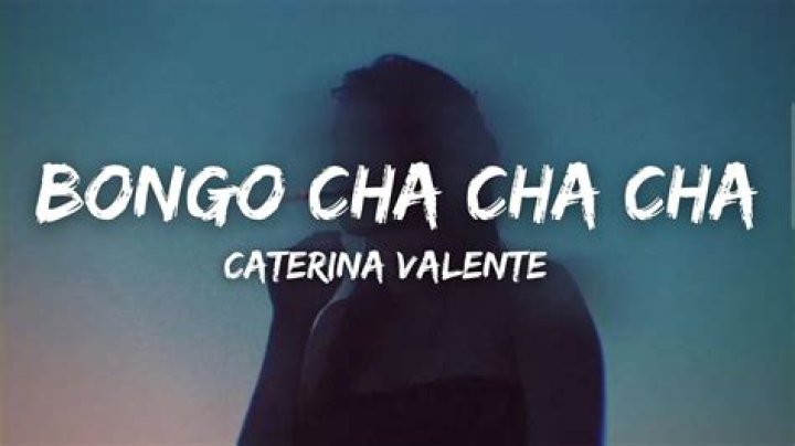 Bongo la bongo cha cha cha lyrics