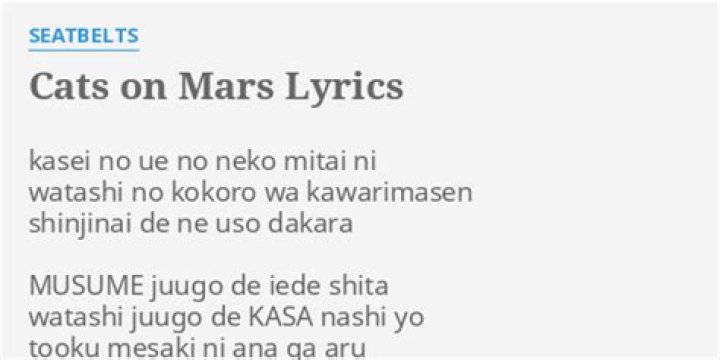Cats on mars lyrics