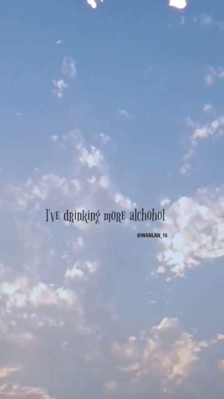 Drinking more alchohol lyrics