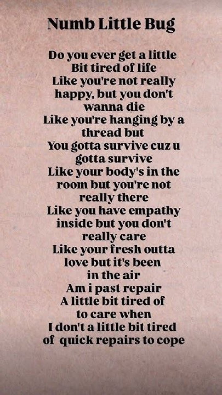 Dumb little bug lyrics