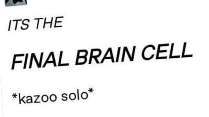 Final brain cell lyrics