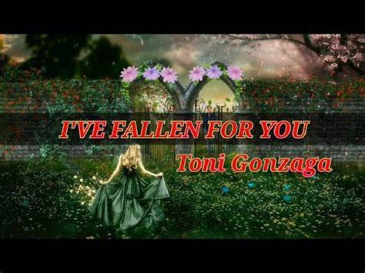 Ive fallen for you lyrics