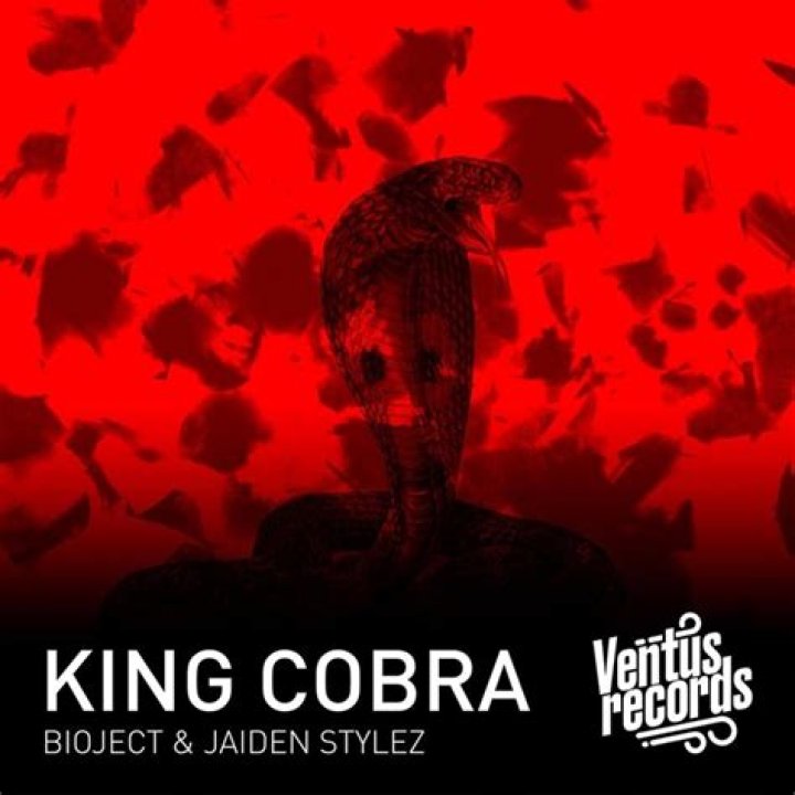 King cobra lyrics
