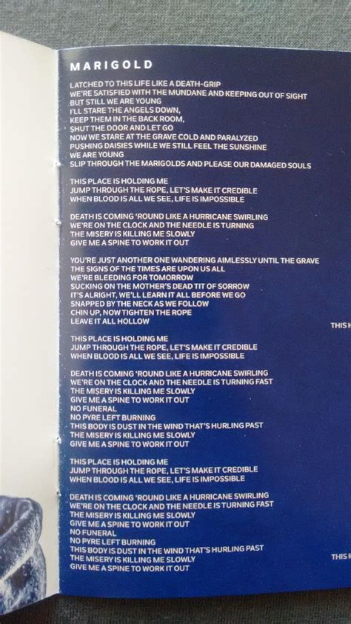 Marigold lyrics