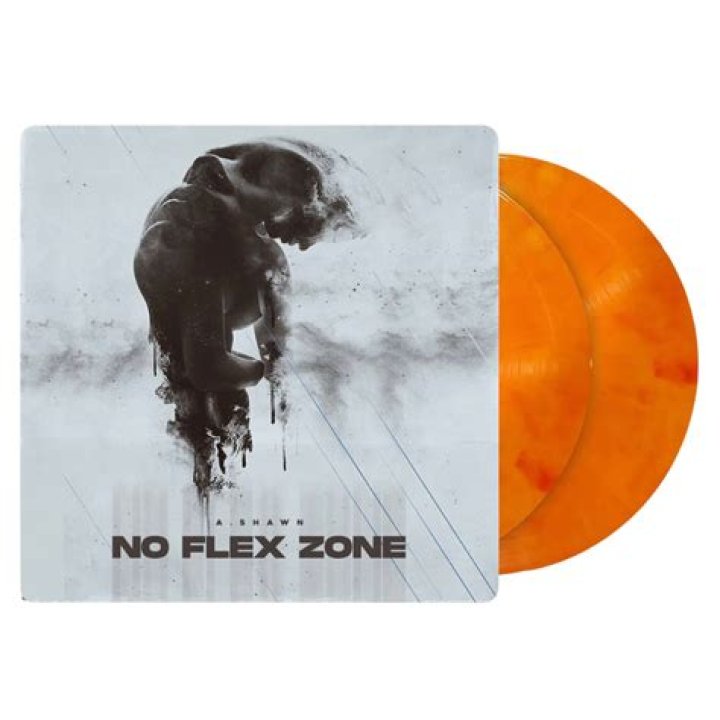 No flex zone (remix) lyrics