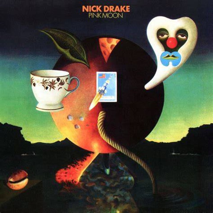 Pink moon lyrics