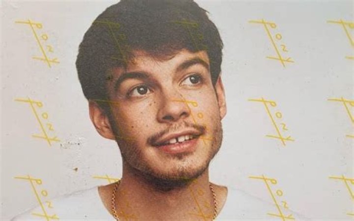 Rex Orange County Facts