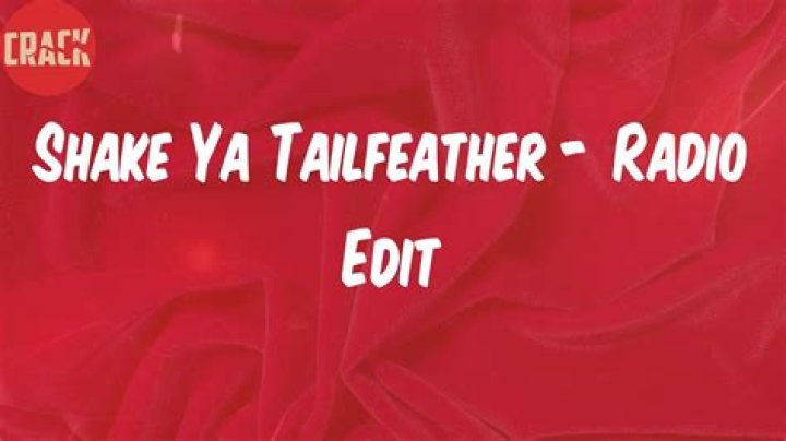 Shake ya tailfeather lyrics