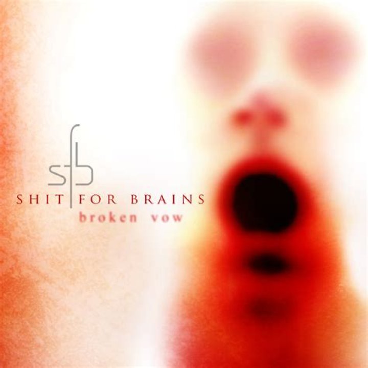 Shit for brains lyrics