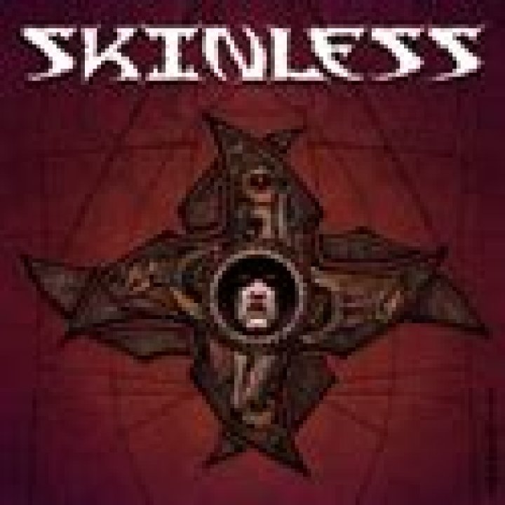 Skinless lyrics