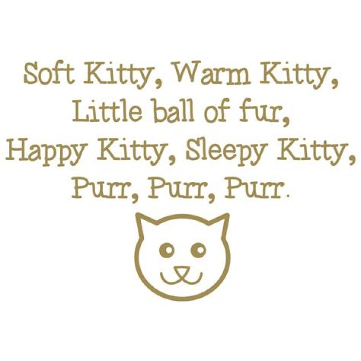 Soft kitty warm kitty lyrics