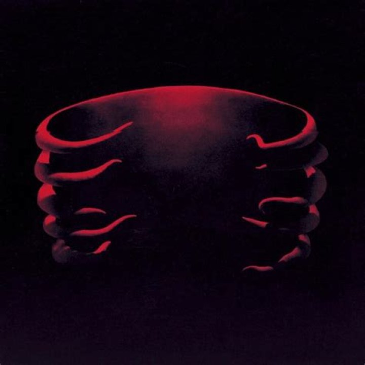 Tool - Undertow Lyrics Meaning