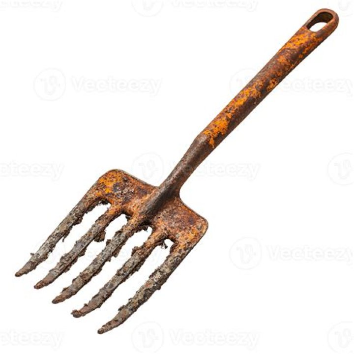 We were poor,used rusty fork lyrics