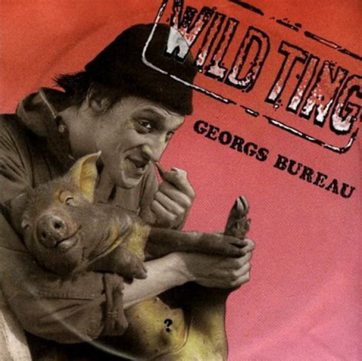 Wild ting lyrics